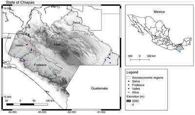 Exploring the complexity of smallholders' intense use of glyphosate in maize crops from South Mexico: Remarks for an ongoing agroecological transition
